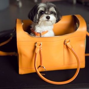Ralph Lauren Pet Carrier- dog, cat, small animal - Luxury Travel - Leather